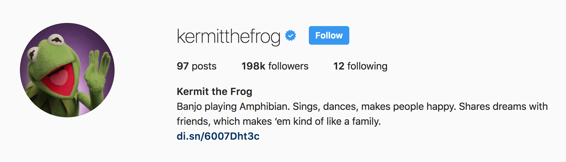 Kermit The Frog Cute Instagram BIOS